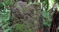 Mystic mossy Demon sculpture in tropic jungle HD Footage