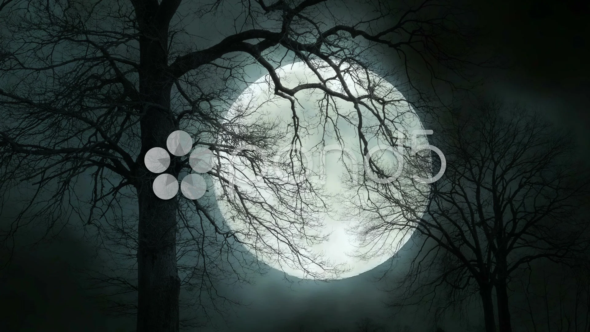mystic night sky. large moon background.... | Stock Video | Pond5