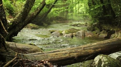 Mystic river Stock Footage 957416