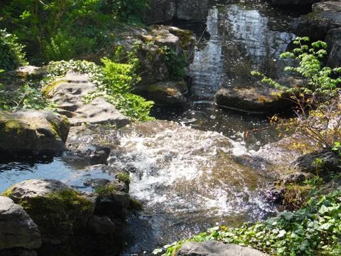 Mystic stream 스톡 사진