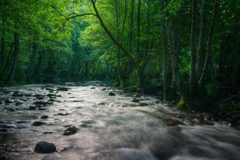 Mystical atmosphere when the first light of day illuminates the river and the Stock Photos