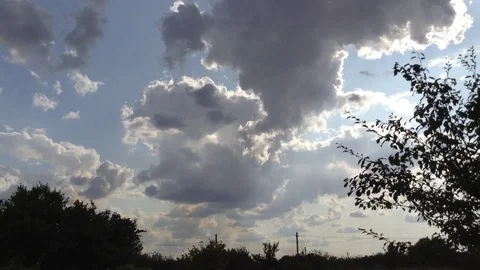 Mystical blue and gray clouds in the blue sky and tree in the wind Stock Footage 119307338
