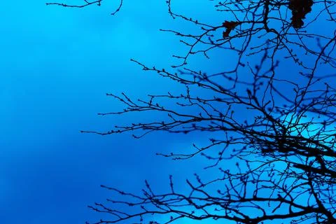 Mystical blue background Stock Photos