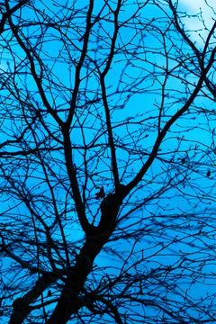 Mystical blue background Stock Photos