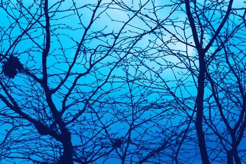Mystical blue background Stock Photos