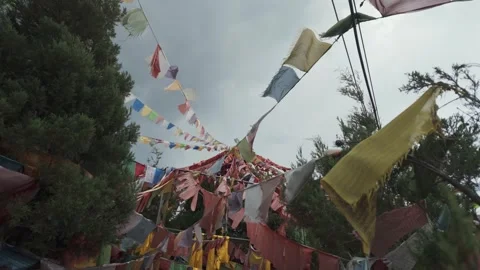 Mystical Buddhist Prayer Flag Canopy in Pine Forest Near Baisha Yunnan China Stock Footage 342314110