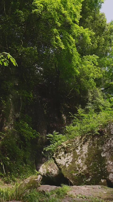 Mystical canyon with massive mossy rocks and natural waterfall sound in Oita Vídeos de archivo 336928787