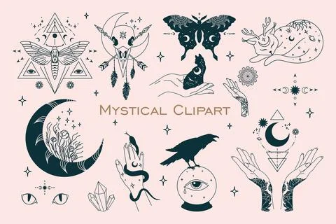 Mystical celestial bundle. Outline witchy drawing. Isolated floral moon Stock Illustration