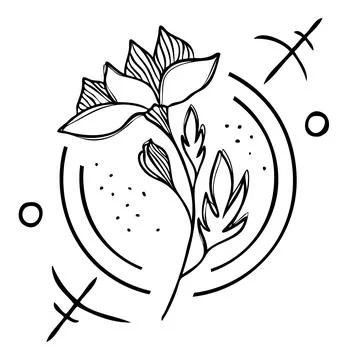 Mystical composition vector line art illustration with magic elements Stock Illustration