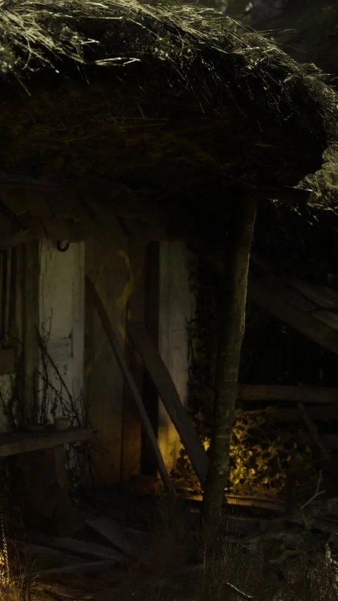 Mystical cottage hidden in the enchanted forest at twilight Stock Footage 341419397