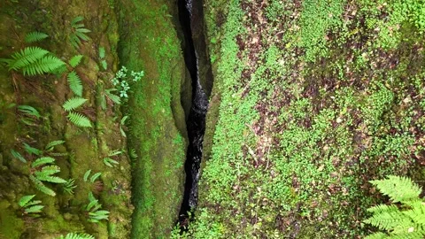 Mystical Deep Chasm Aerial View - Black Rock Gorge Highlands Stock Footage 330660205