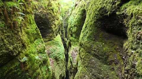 Mystical Deep Chasm Aerial View - Black Rock Gorge Highlands Stock Footage 330660206