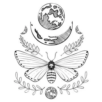 Mystical drawing of a Moth with a full Moon. Vector illustration of a night Stock Illustration