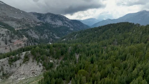 Mystical Elevation: Aerial Exploration of Green Forest and Snowy Vistas Stock Footage 243197778