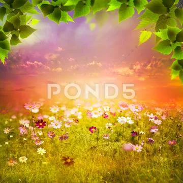Mystical evening on the meadow. abstract natural backgrounds for your design Stock Illustration