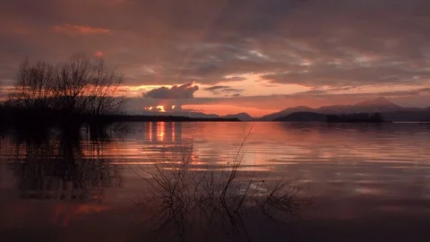 Mystical evening sunlight reflections in the water among trees on lake waves Stock Footage 127032480