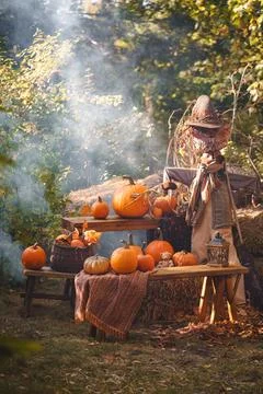 Mystical Fall Scarecrow with Pumpkin Display Stock Photos