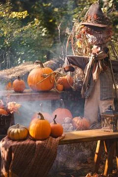 Mystical Fall Scarecrow with Pumpkin Display Stock Photos
