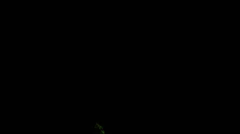 Mystical Fel Green Flames - 22 Stock Footage