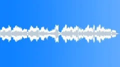 Mystical FluteStock Music