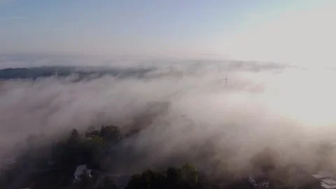 Mystical Fog Stock Footage 250441848