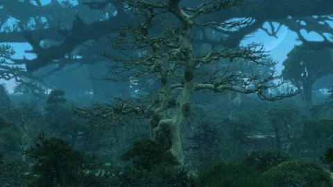 Mystical forest animation Stock Footage 154029046