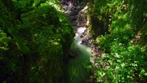 Mystical Forest Canyon River Vidéo 332449774
