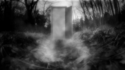 Mystical forest with doors Stock Footage 82310289
