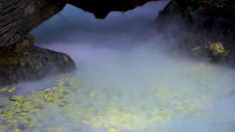 Mystical Forest Hot Spring Steam Loop Full HD. Stock Footage 322167645