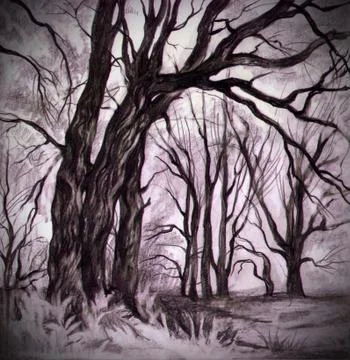 Mystical forest Stock Illustration