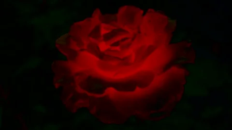 Mystical glow. Stock-Footage 155926385