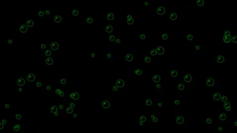 Mystical glowing green bubbles floating animation on dark background Stock Footage 336539017