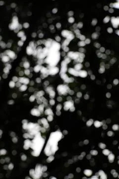 Mystical interplay of light and shadow, a captivating dance of ethereal orb.. Stock Photos