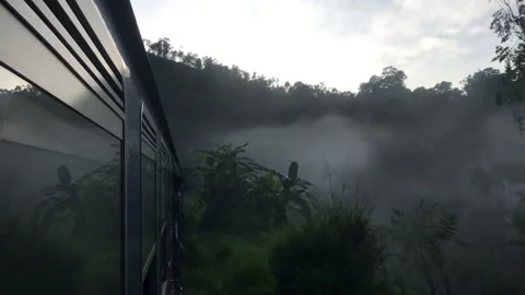 Mystical journey in train Stock Footage 221648030