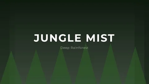 Mystical Jungle Mist Background Loop | Deep Tropical Rainforest Canopy Anim.. Stock Footage 337501784