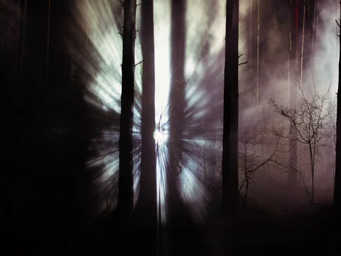 Mystical light rays in the night forest smoke and fog Stock Footage 74506784