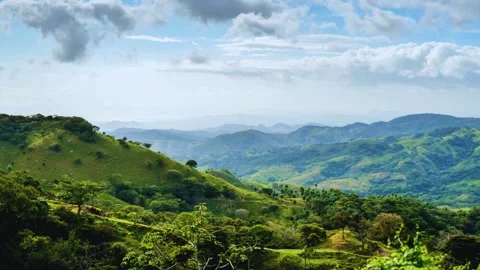 Mystical Monteverde Cloud Forest Mist and Greenery in 4K Costa Rica Stock Footage 314162983