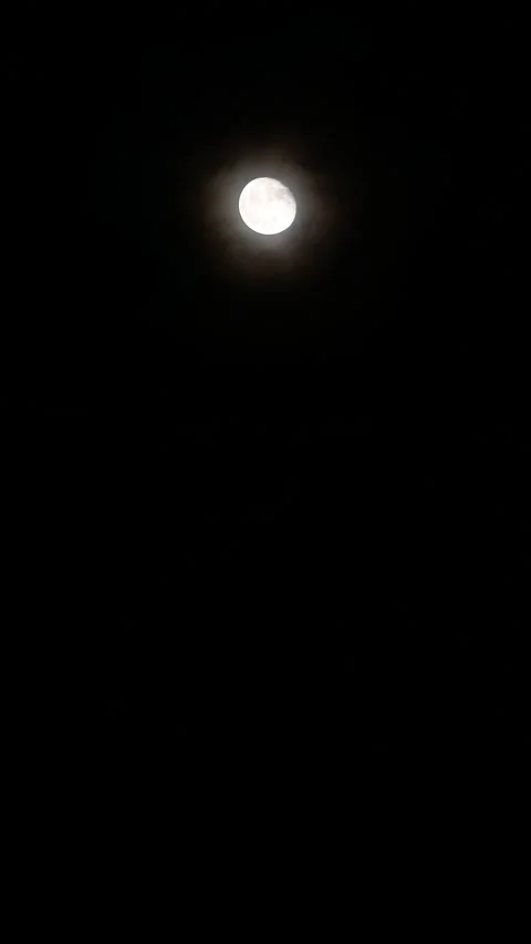 Mystical Moon in a Dark Night Sky and Clouds Vertical Video Real Time Stock Footage 208311474