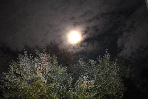 The Mystical Moon Stock Photos