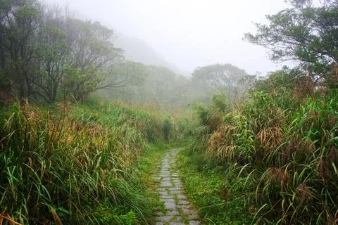 Mystical mountain path Stock Photos