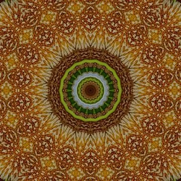 Mystical pattern design for the background Stock Illustration
