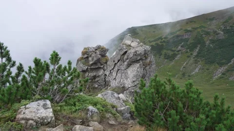 A mystical rock among white clouds and Christmas trees in the mountains Stock Footage 218440977