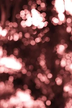 Mystical rose bokeh effect, capturing a dreamy and soft light, creating an .. Stock Photos
