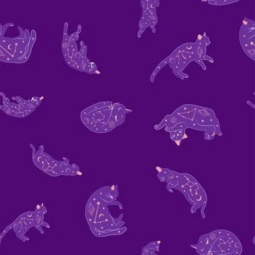 Mystical seamless pattern of cats in boho style, silhouette collection. Witch 스톡 일러스트
