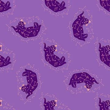Mystical seamless pattern of cats in boho style, silhouette collection. Esote Stock Illustration