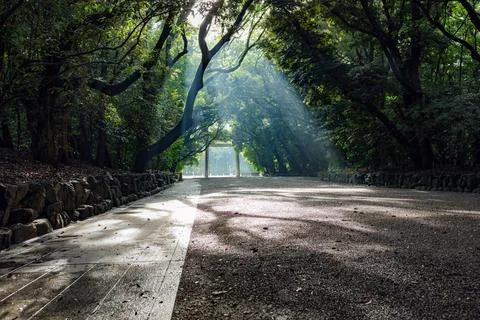 Mystical Shadows Stock Photos