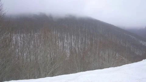 A mystical sight of clouds hovering over the winter forest Stock Footage 233534457