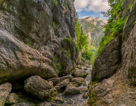 Mystical Soca River Source Unveiled Through Ancient Triglav National Park W.. Stock Photos