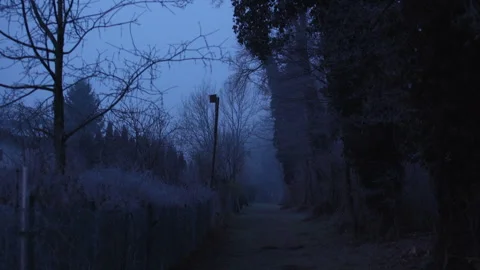 Mystical street in the dark Stock Footage 264830257