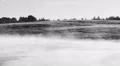 Mystical sunrise with the voices of crows and fog in the swamp HD Footage